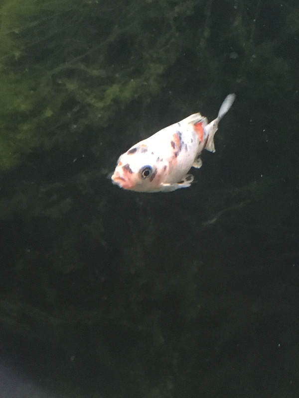 6954F79E-1210-43CB-B2BF-3888966BE2D4