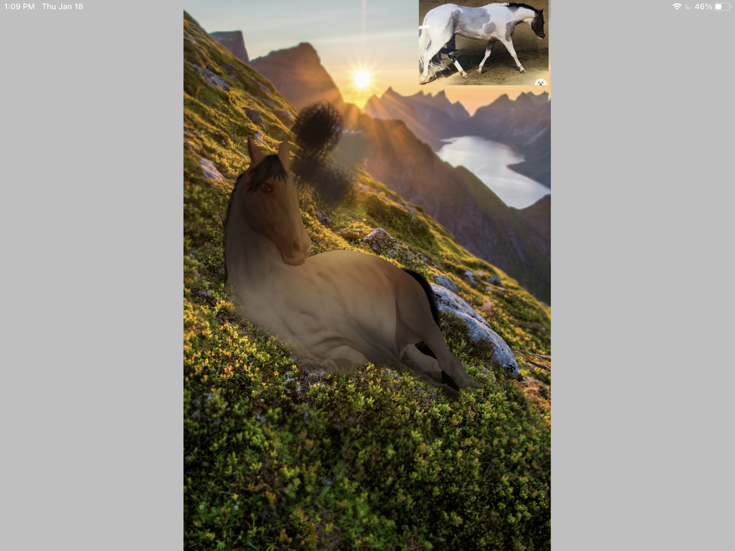 0EB79A5C-3D56-4B26-915C-FBA28E0A52B1