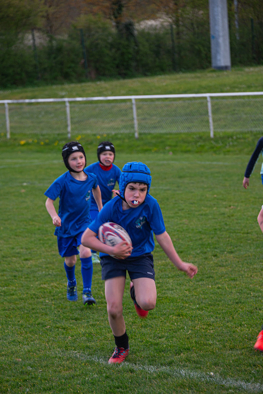 tournoi-de-latlantique-2026-adonis-griffon-118-55181456508-l