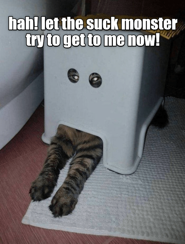 let-him-try