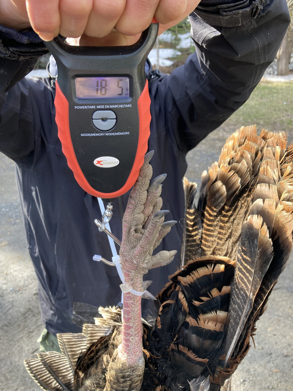 77D222EA-F054-46E4-A902-329B6EF4F156