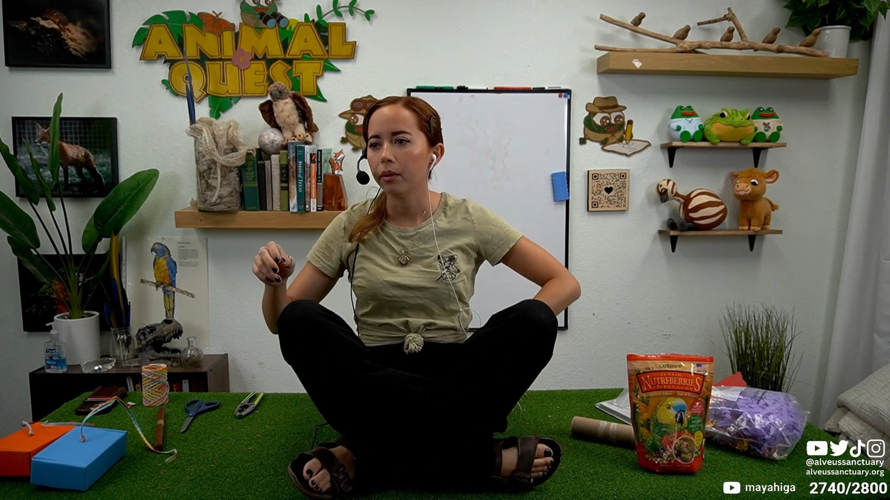 Maya-Higa-Feet-7501406