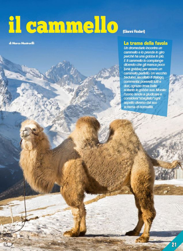 Foc Wil - Mar 2024 (4)