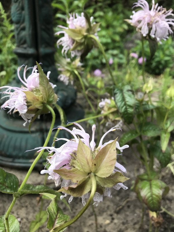 CC8296B6-1D77-4E65-988B-D8EFF027F966