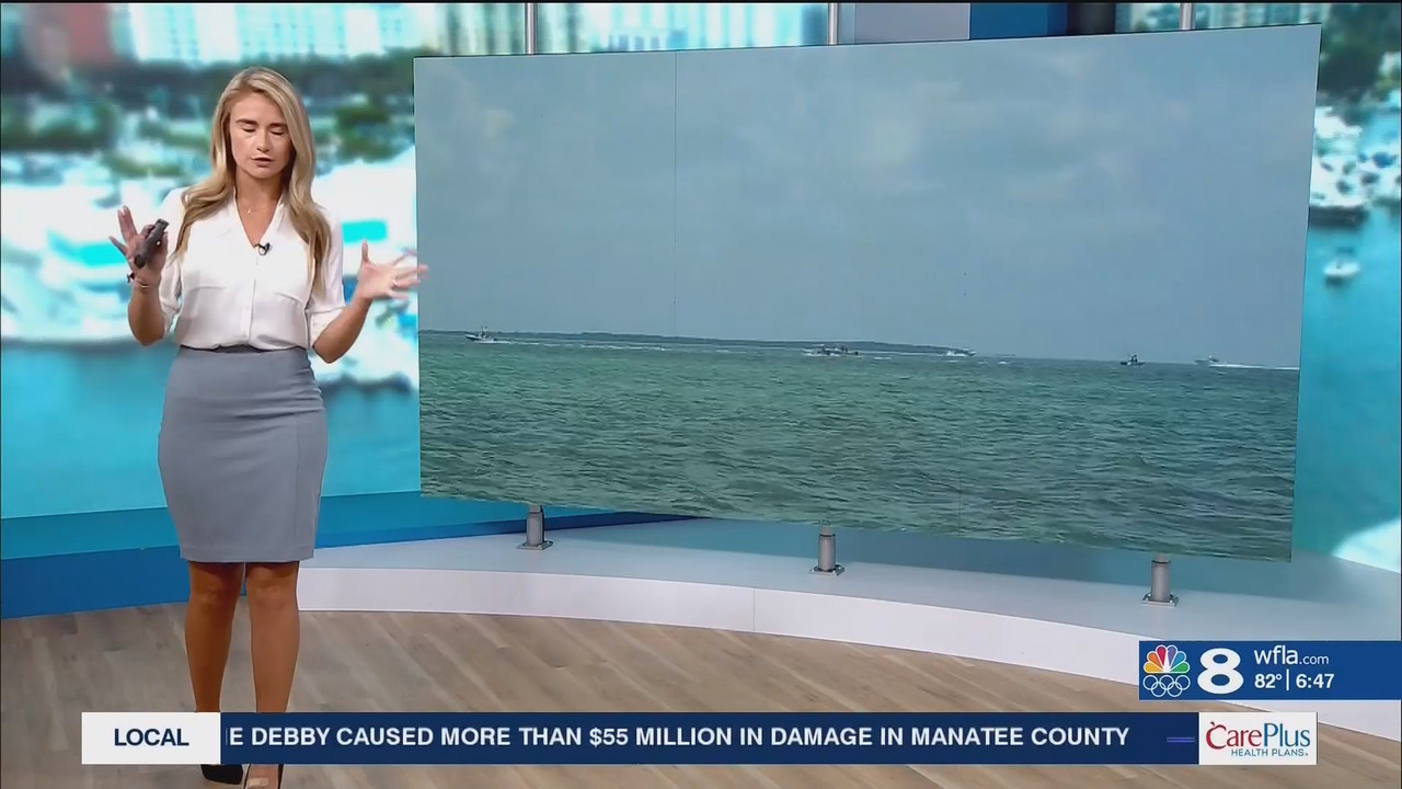NewsChannel 8 Today at 6a_20240809_11001200.ts_snapshot_00.48.08.256