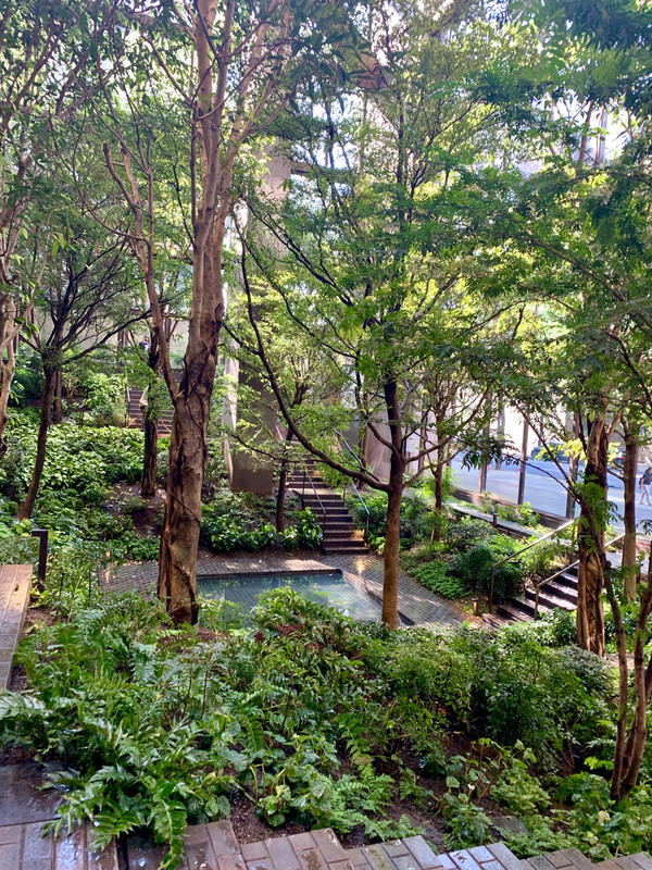 9A0534B7-8096-4AAB-B33F-7882B83A78CB