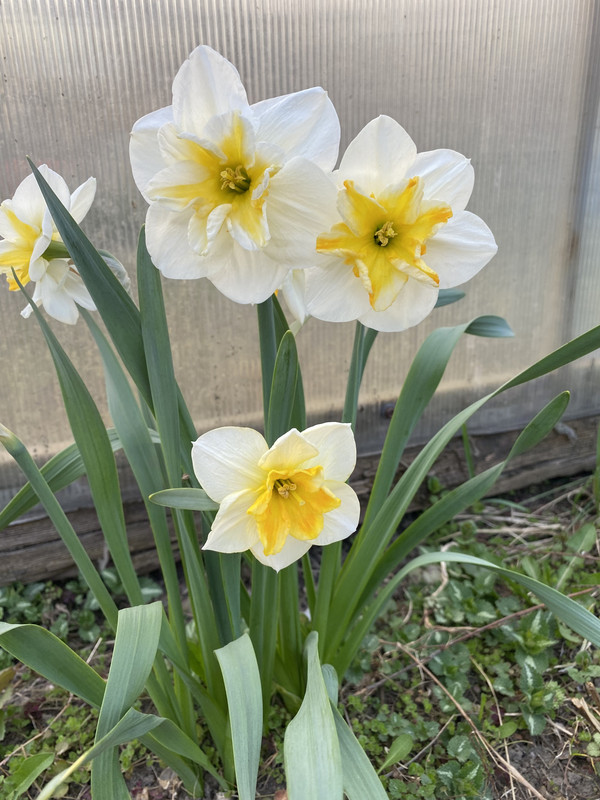 4F6473F3-76C4-450E-A9F3-2BF5B8EE063C