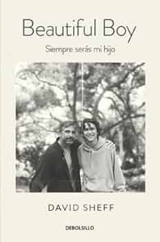 BEAUTIFUL BOY, DAVID SHEFF