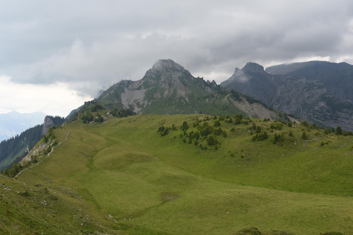 De casa a Grindelwald (Zona de Interlaken) - Huyendo del COVID a los Alpes (2020) (33)