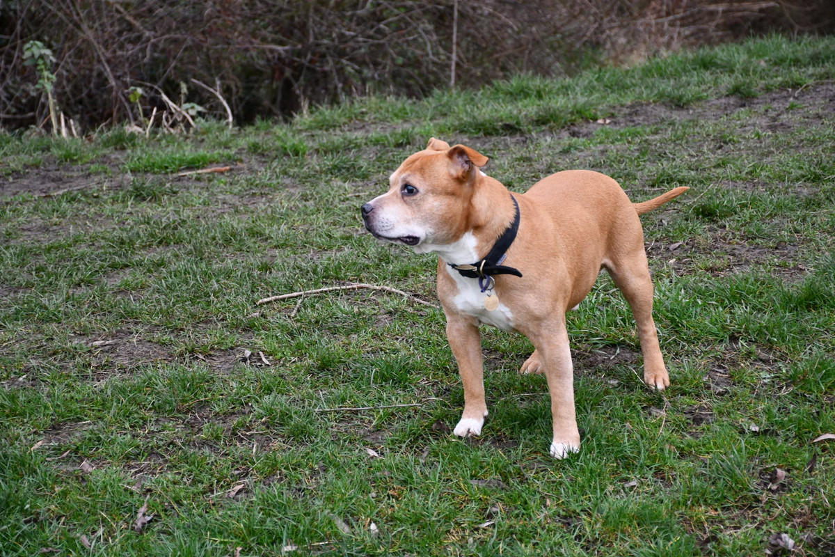 8FAB11B4-D6ED-4408-98EB-B893E53238F1