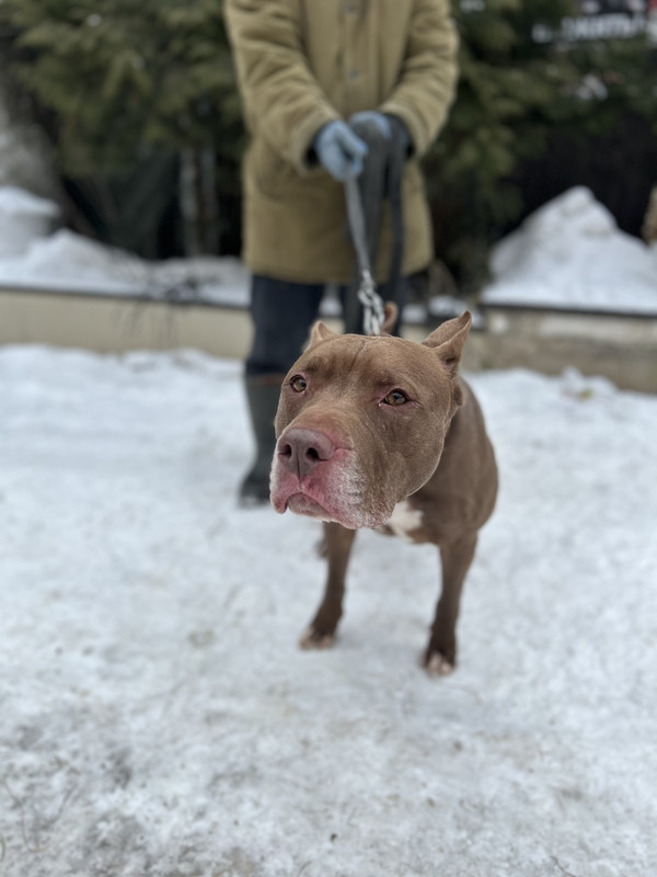 96128D65-5E18-4BD5-86E3-67759A34EDCB