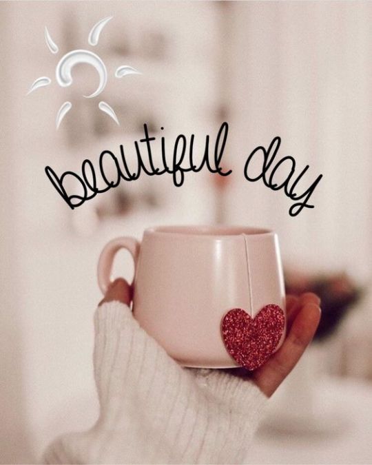 tumblr_5828a00bfb49dce19bf1038513cfab4a_6c33ea20_540