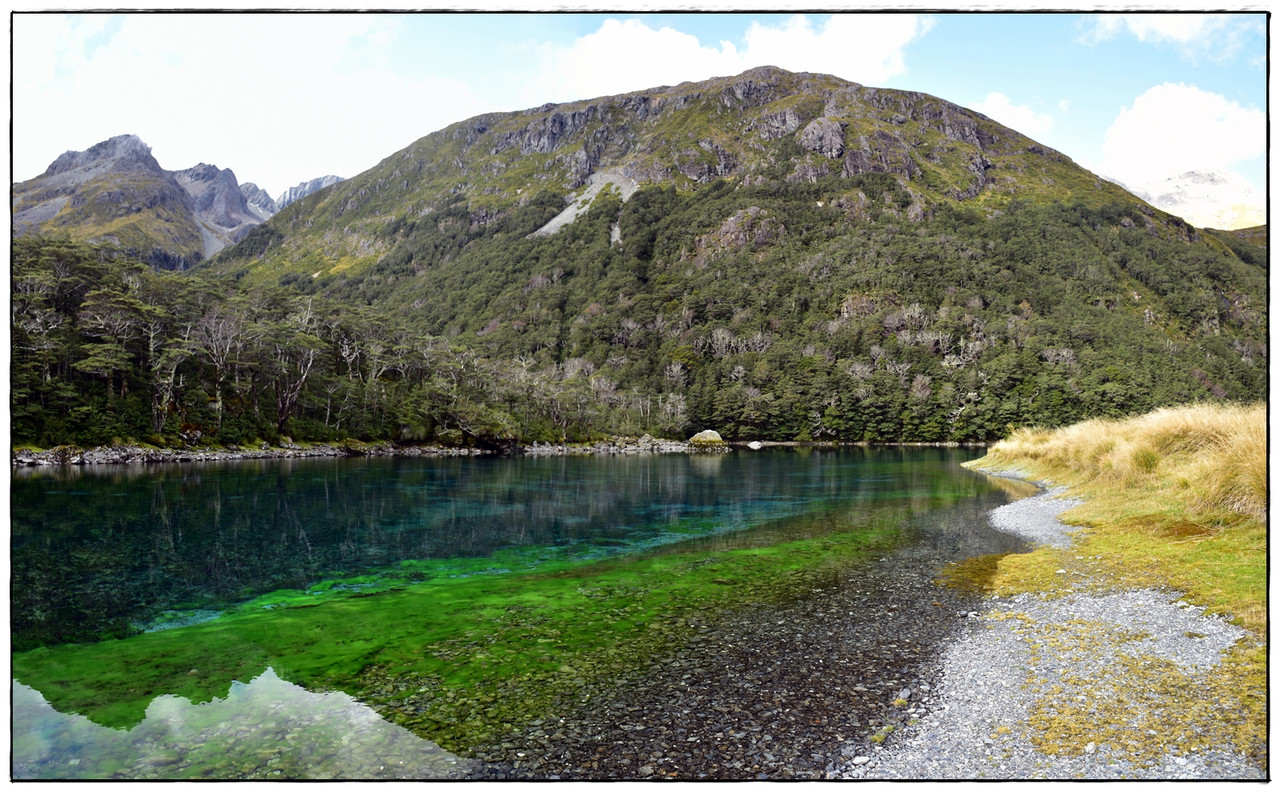 Nelson Lakes NP: Blue Lake Circuit (abril 2023) - Escapadas y rutas por la Nueva Zelanda menos conocida (16)