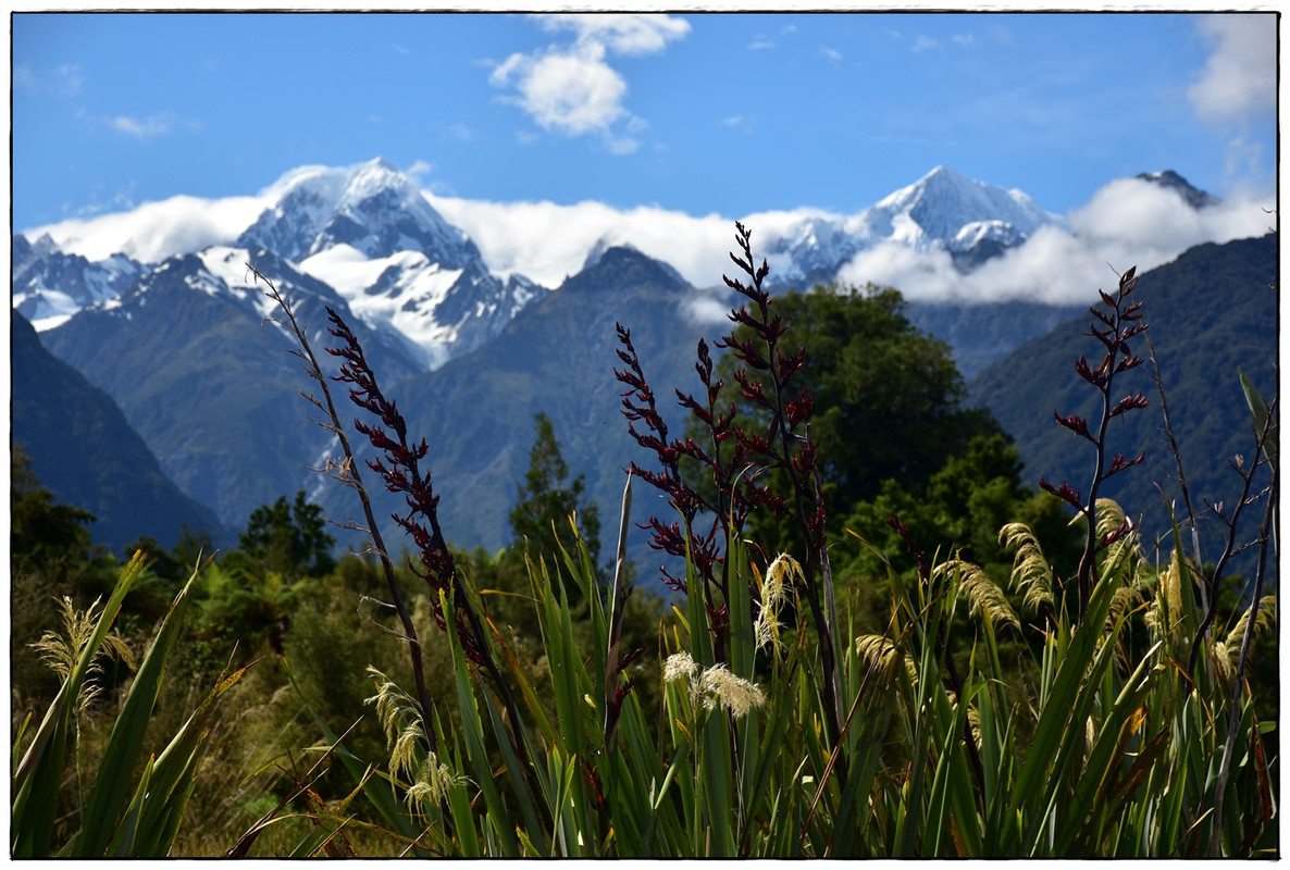 West Coast: Copland Track (diciembre 2021) - Escapadas y rutas por la Nueva Zelanda menos conocida (32)