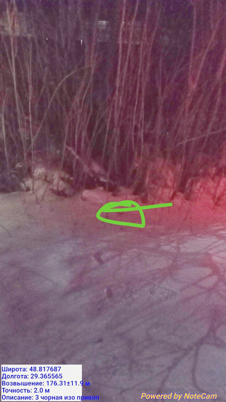 photo 7 2026 02 20 13 57 35