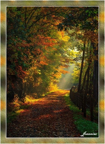 m-HERFST-IN-DE-DREEFT