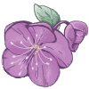 Hellebores-Badge.png