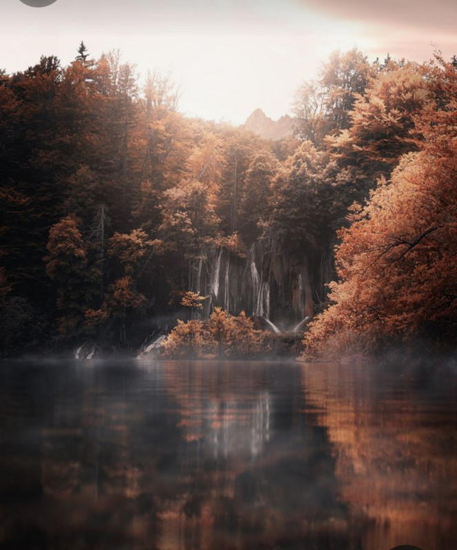 Screenshot_20231117_223201_Pinterest