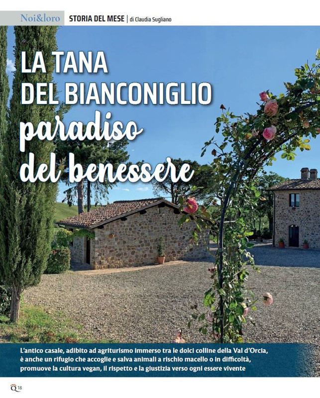 QuattroZampe Set 2022 (1)