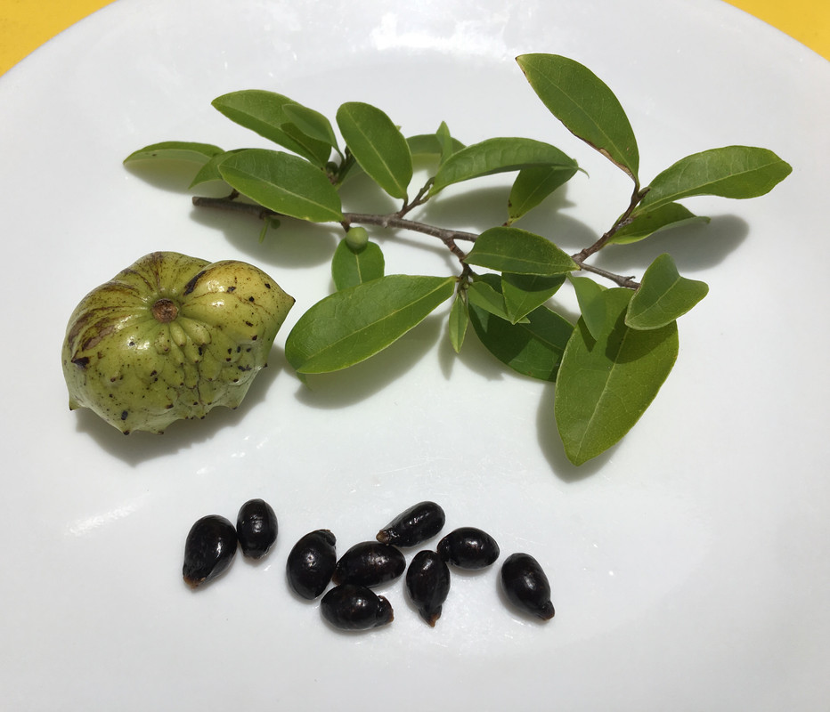 BC4D1284-CBC8-4DCA-A41F-E73AD726B4C8