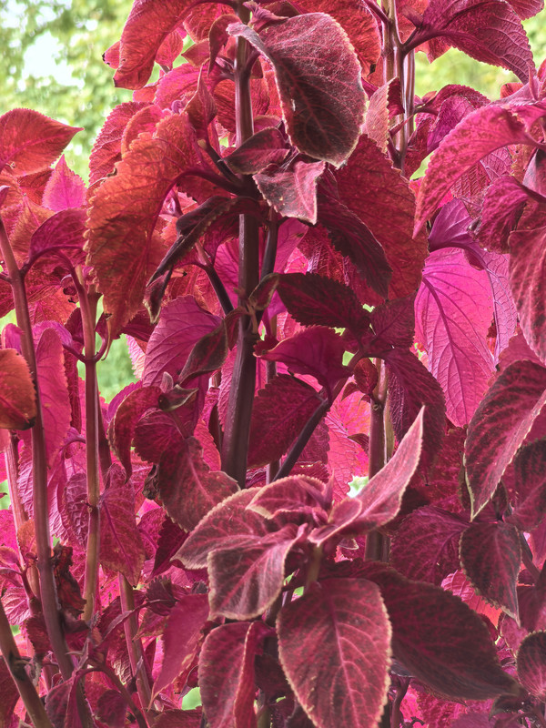 Октябрь уж наступил, 