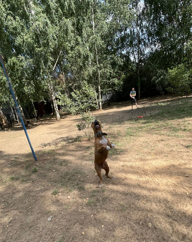 WhatsApp Image 2022-08-05 at 20.23.53 (1)