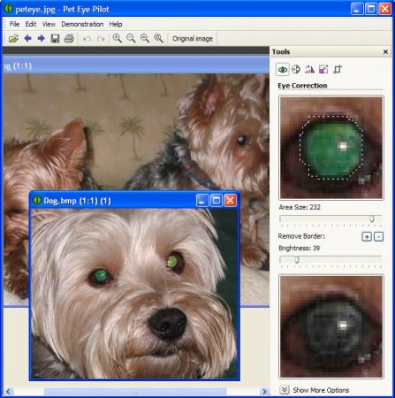 Pet Eye Pilot v3.13.0