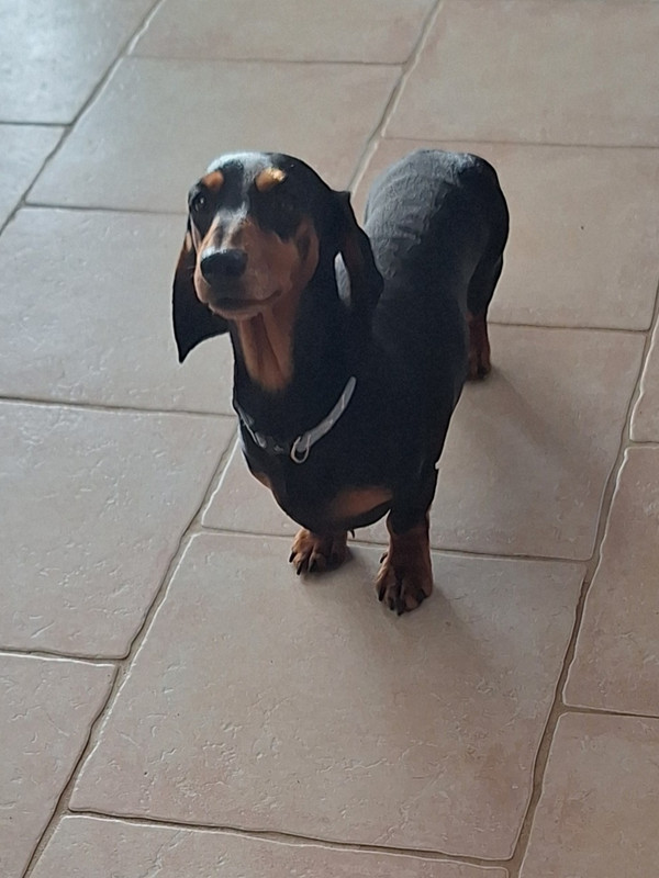 [Image: 20251126-100150.jpg]