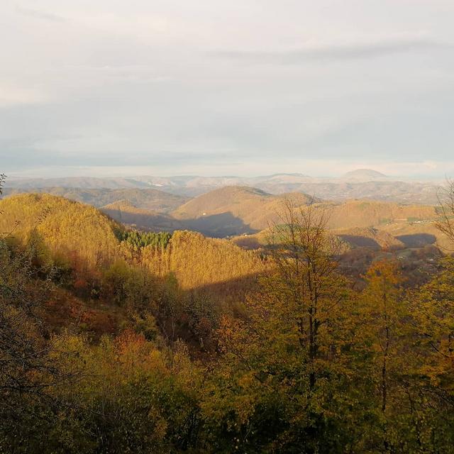 Slika