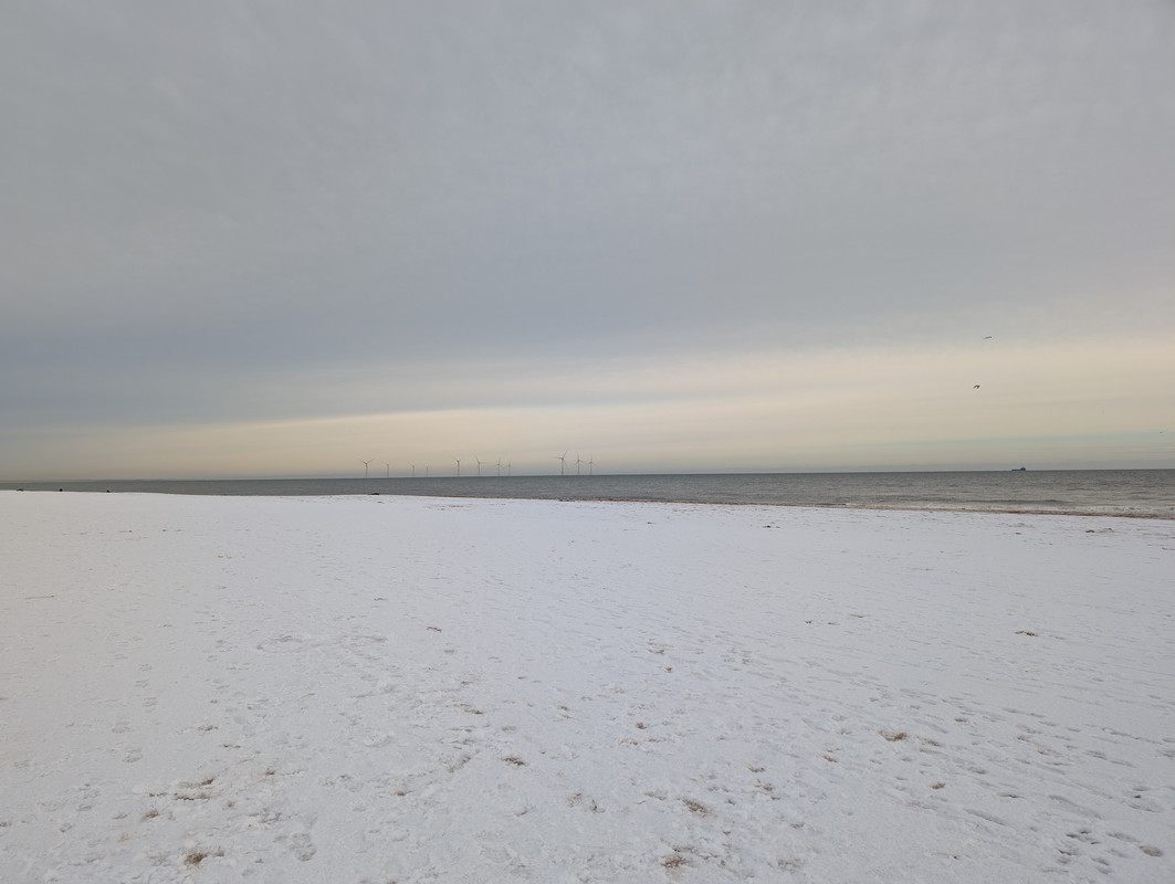 PXL_20250112_122741990.RAW-01.COVER_Original