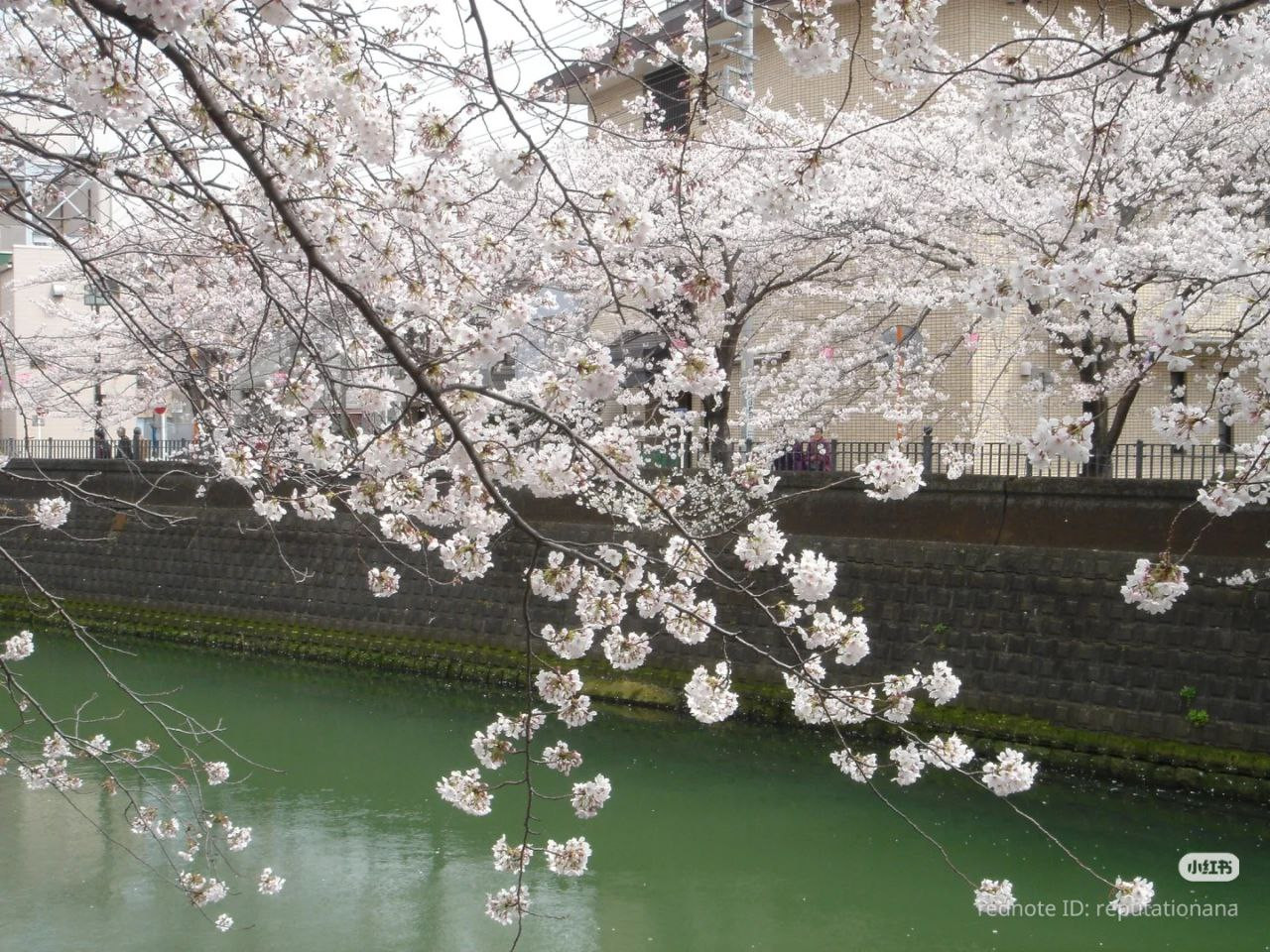 photo 36 2025 12 24 16 27 05