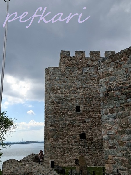 Slika