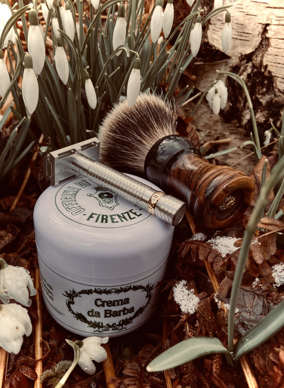 SOTD-20230225.jpg