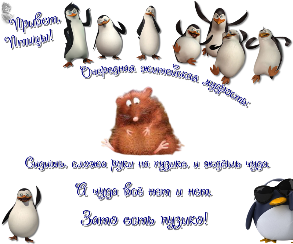 https://i.postimg.cc/rwL6wCZW/21-04.png