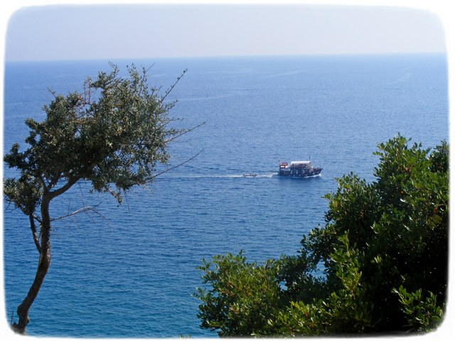 Slika