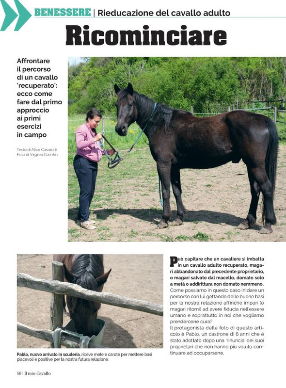 Il Mio Cav (Giu 2023) 5