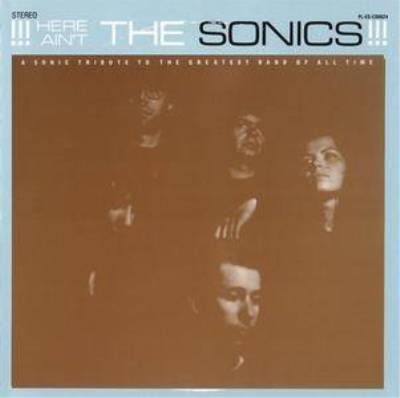 VA - Here Ain't The Sonics (1989)