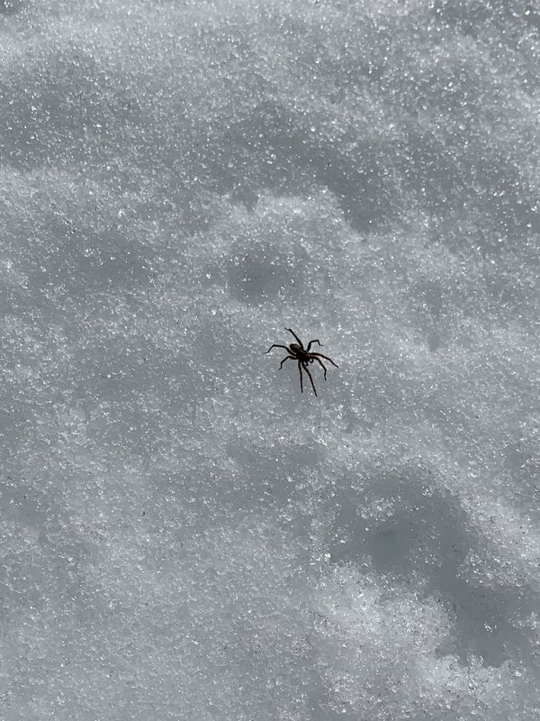 A153F66B-D729-48A1-80EC-2EA90C0B801C