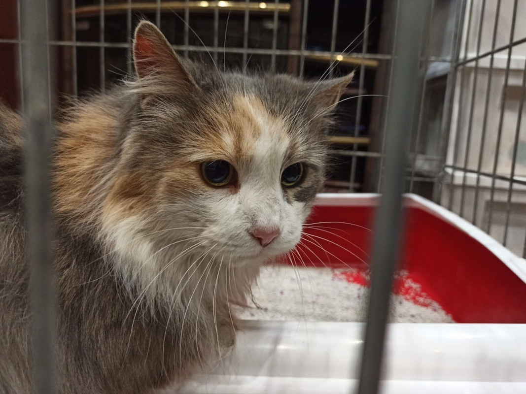 584D6D08-D3A9-44BA-9B25-E6FDF7D6B823