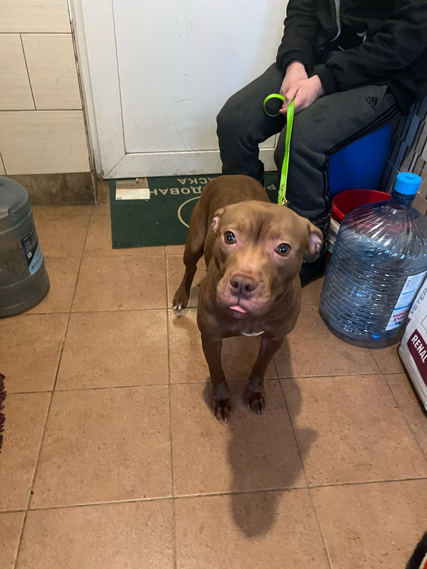 WhatsApp Image 2024-02-04 at 19.39.33 (3)