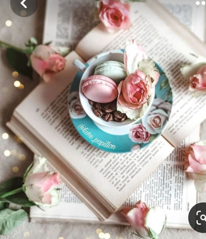 Screenshot_20230225_012609_Pinterest