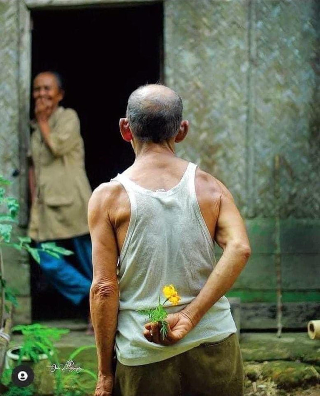 [Image: 330963686-885184372686485-6504795235905353325-n.jpg]