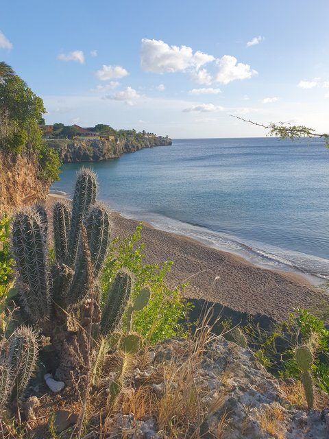 DIA 19: Y MÁS CURAÇAO - Colombia y Curaçao Verano 2022 (2)