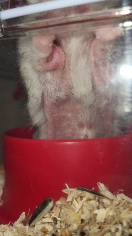 photo_5942869660074622984_y