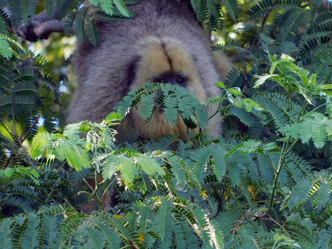 DSCN0198.jpg