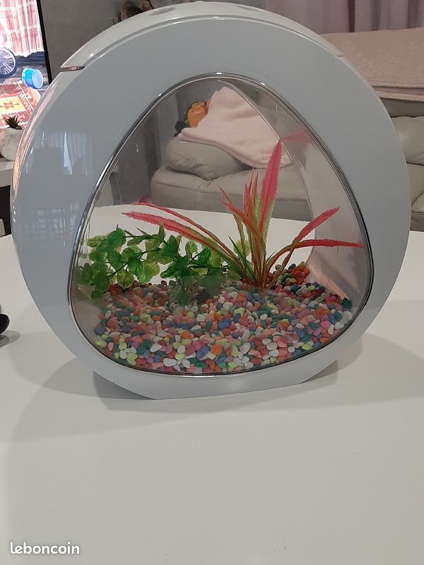 a31a2dfb3ca10e80efdec25563bc546ef967b6f8