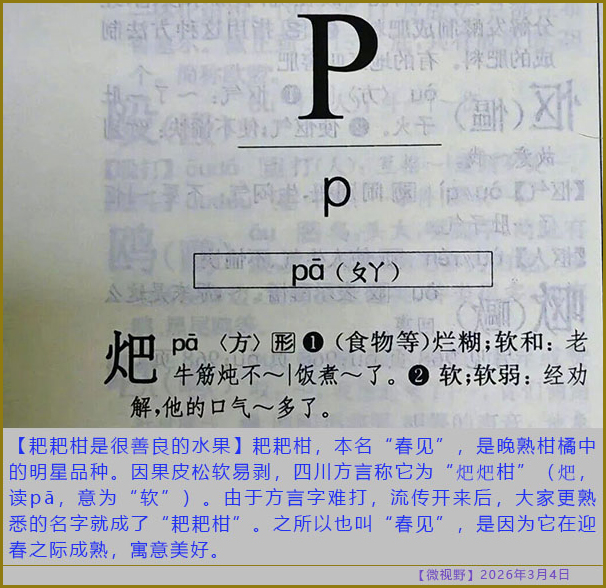 https://i.postimg.cc/rwMY0knj/20260304-sy-(6).jpg