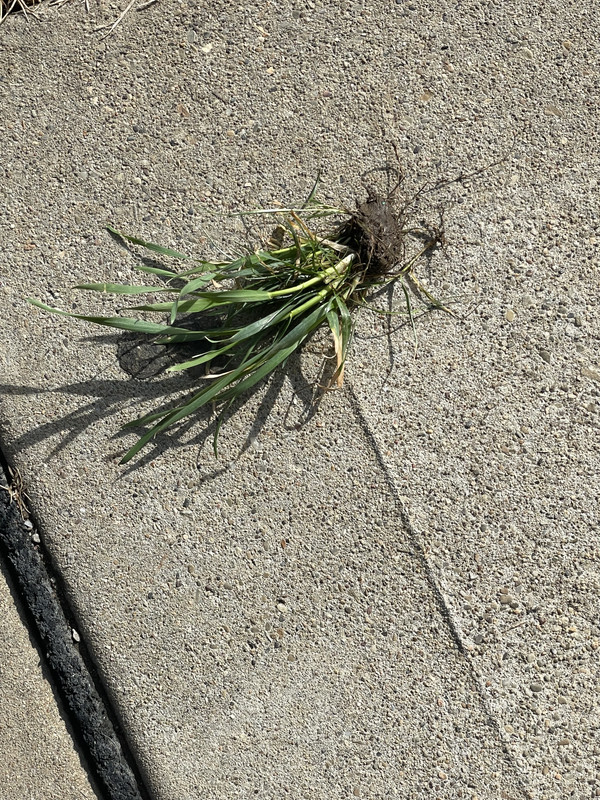 EABF226A-CBD1-44B8-9096-45F5D4A50467