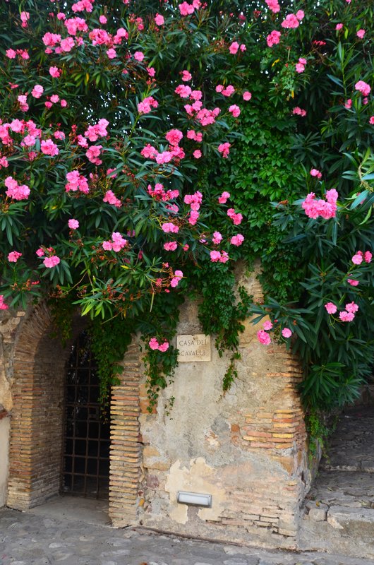 CASTILLO SANTA SEVERA-14-9-2023 - Italia y sus pueblos-2018/2019/2023 (22)