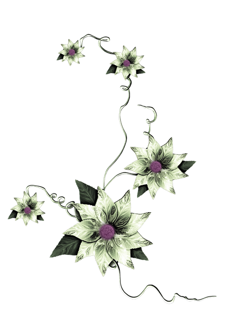 PeacockDreams_MM_Element (100)